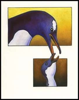 Gentoo Penguins