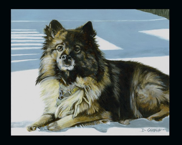 Wickett