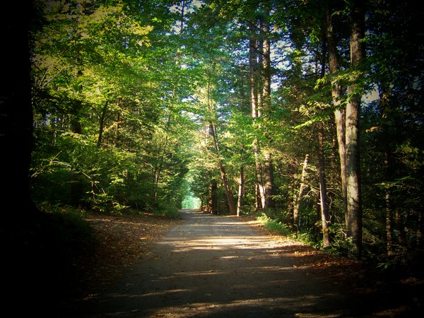 Country Roads