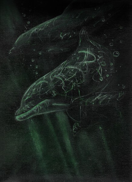 Dolphin 1