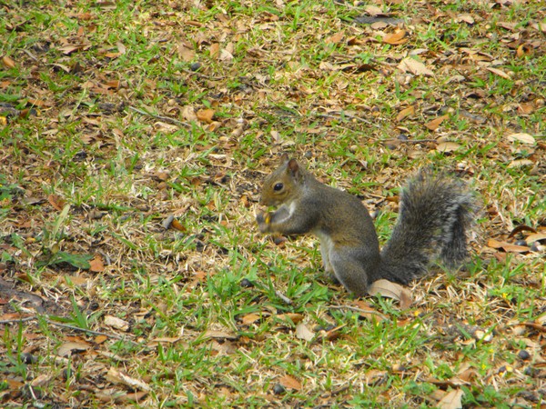 having a snack