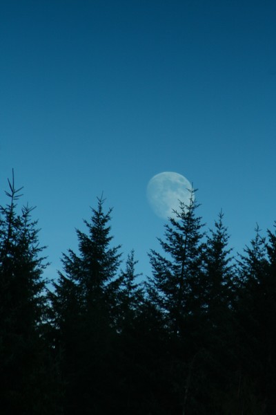 Oregon Full Moon