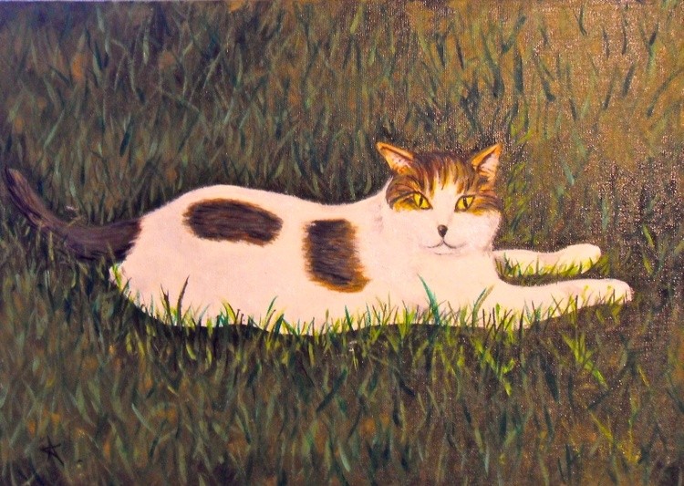 Portrait of a Cat