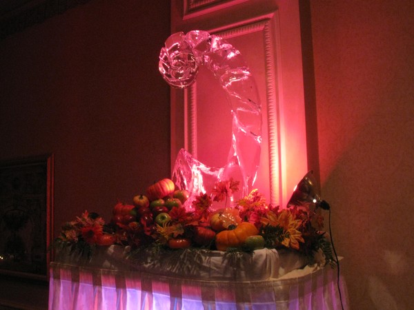 Cornucopia 