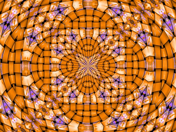 orange flower