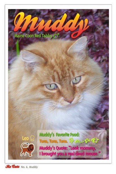 Muddy's Trading Card