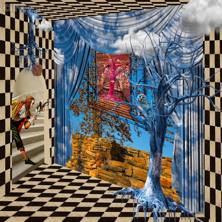 Making Sense of the Irrational