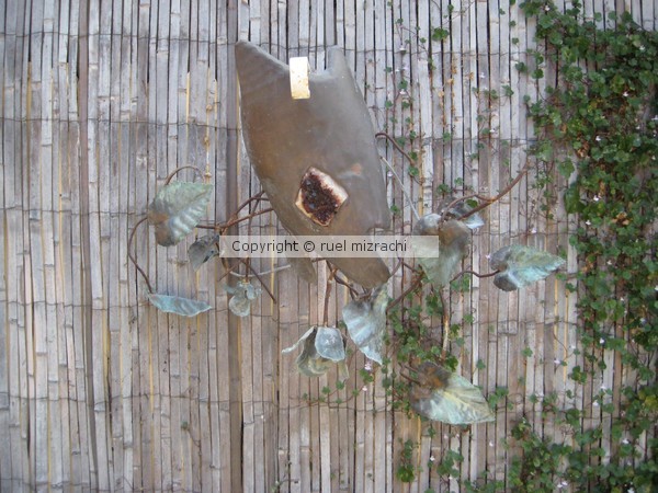 SNAIL AND LEAVES