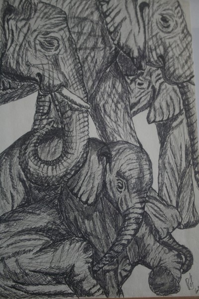 Elephants