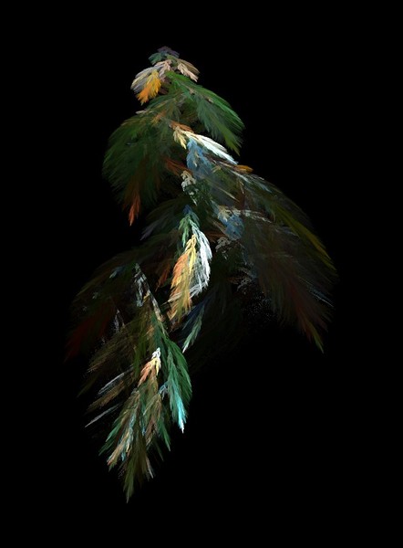 Summer Leaves