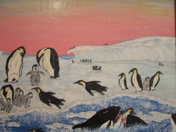 King Penguin an  killer whales at  Play