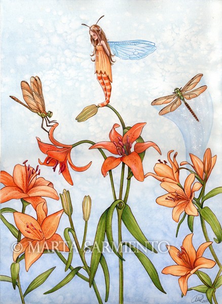 Little dragonfly