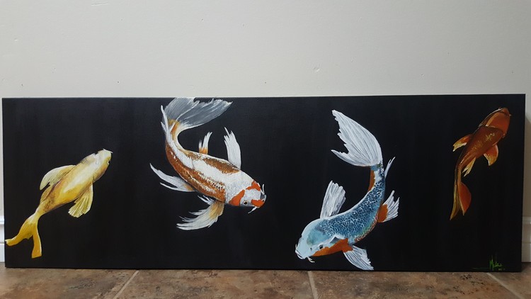 Koi