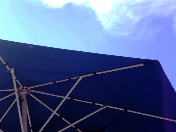 Umbrella