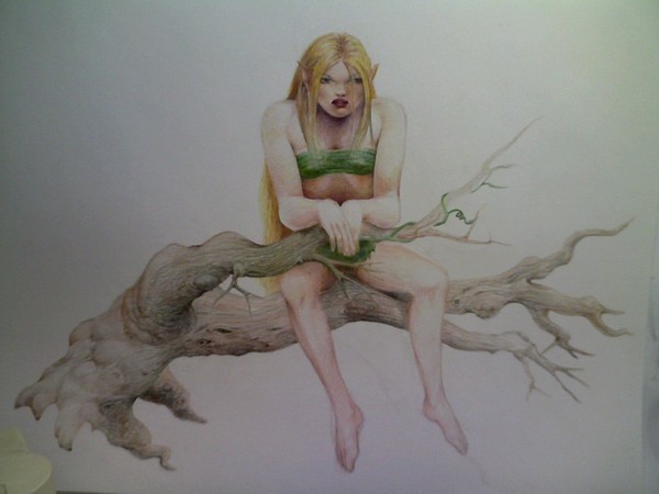 Out on a Limb