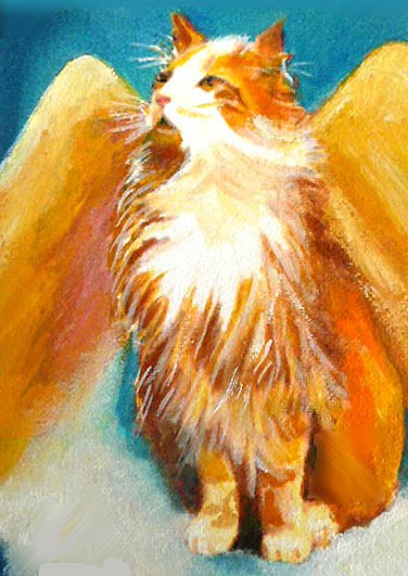 ANGEL CAT