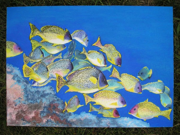 tropical fish