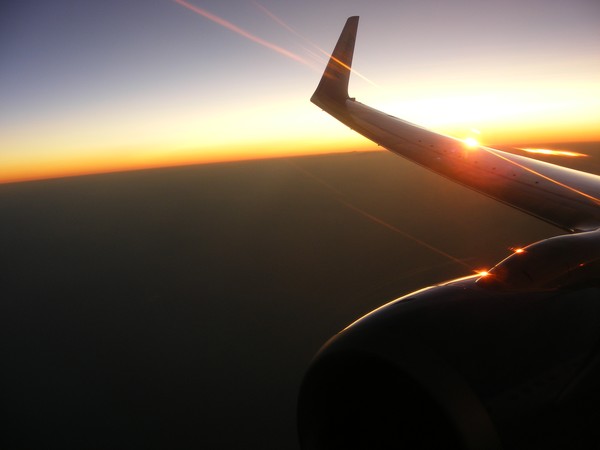 Sunset Wing