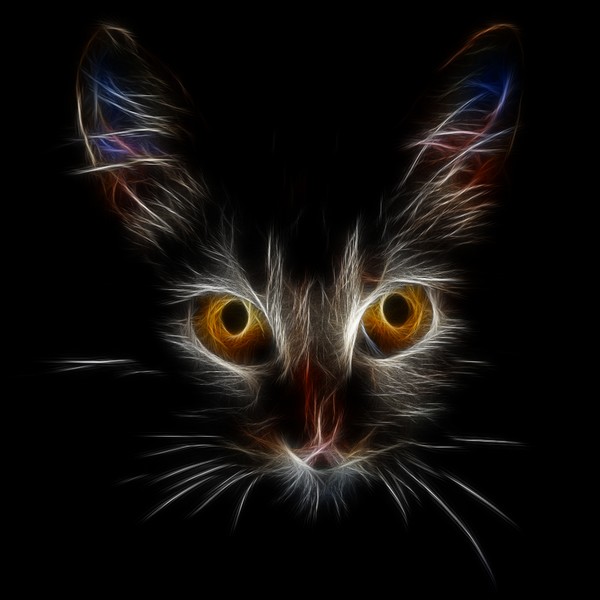 Cats Eyes