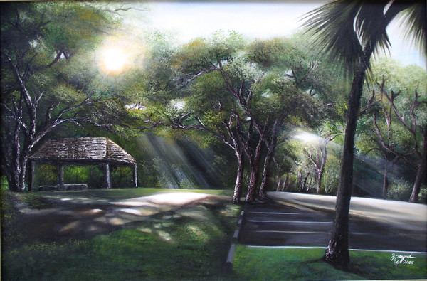 Sun rays in Greynold Park