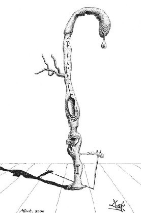 Walking stick