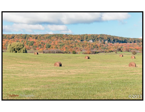 Mount Nemo View