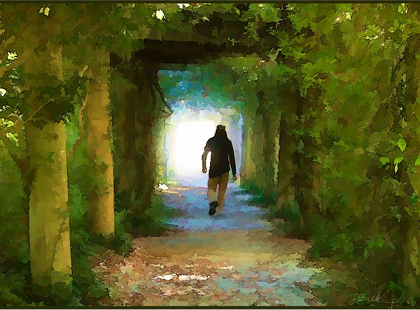 Into the Unknown