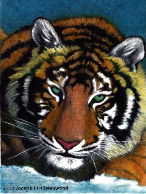 Bengal Blues