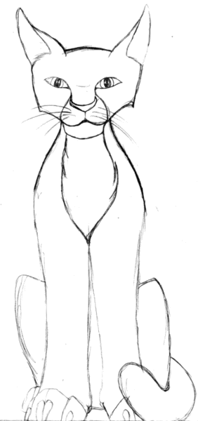House Cat