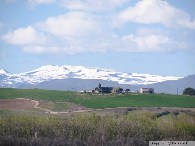 Snow Cap Mountains