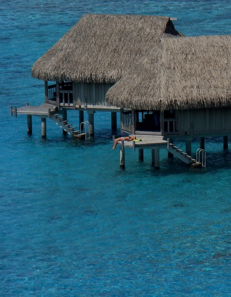 Moorea dreaming