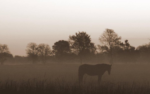 Lone Ranger