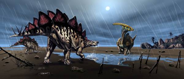 Prehistoric puddle