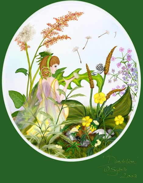 Dandelion
