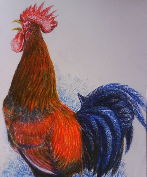 Rooster