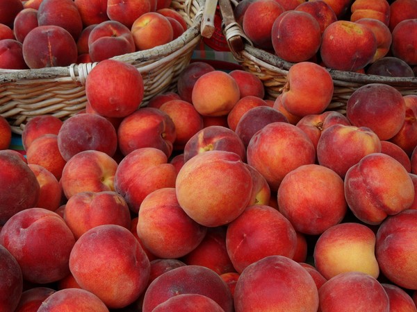 Peaches