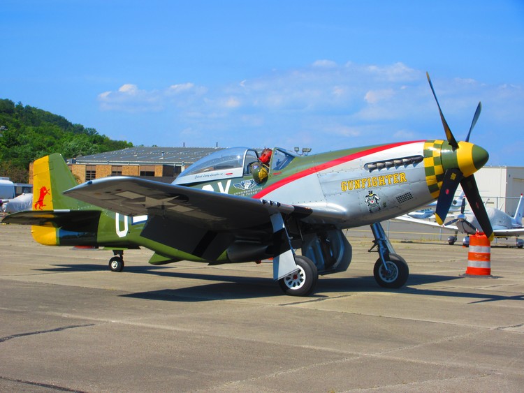 P 51D