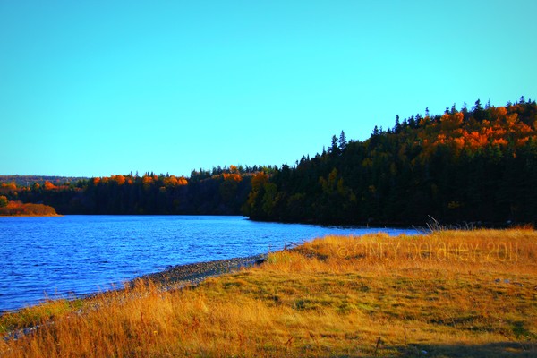 Autumn Bliss