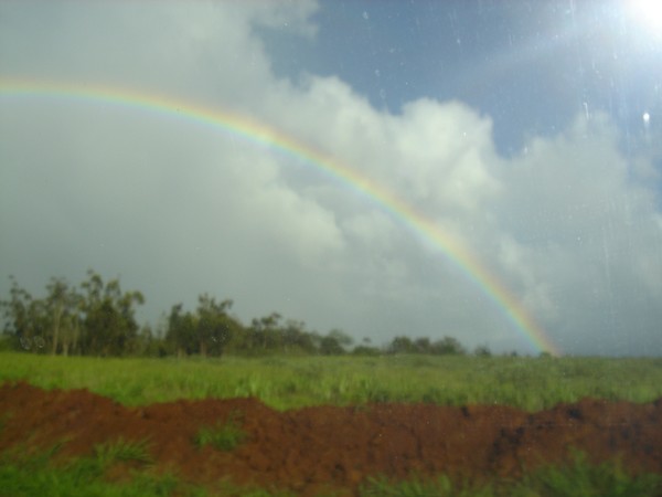 RAINBOW