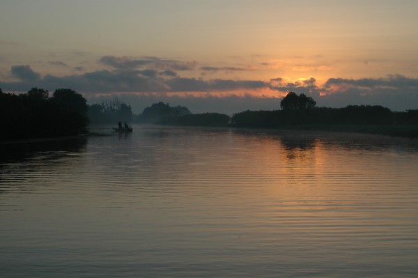 Wetlands wilderness