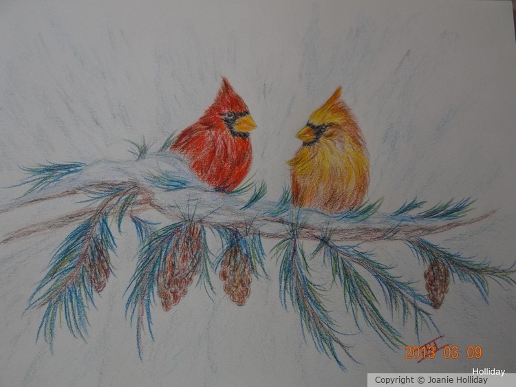 COLORED PENCIL, CARDINALS