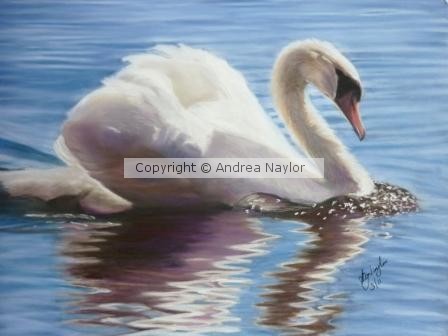Swan