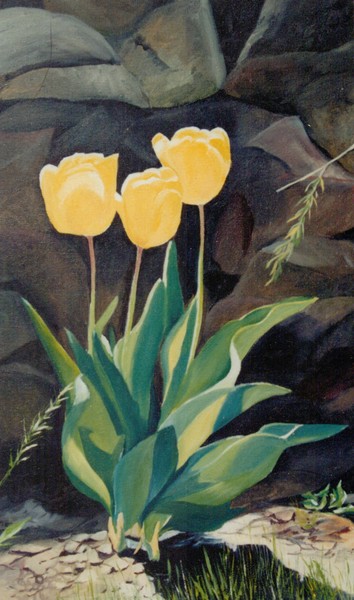 Tulips by the wall