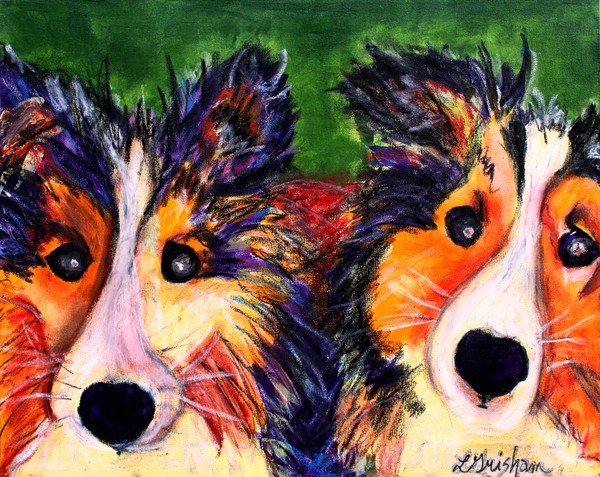 Shelties in Color