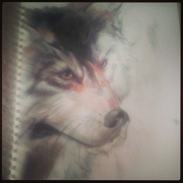 wolf