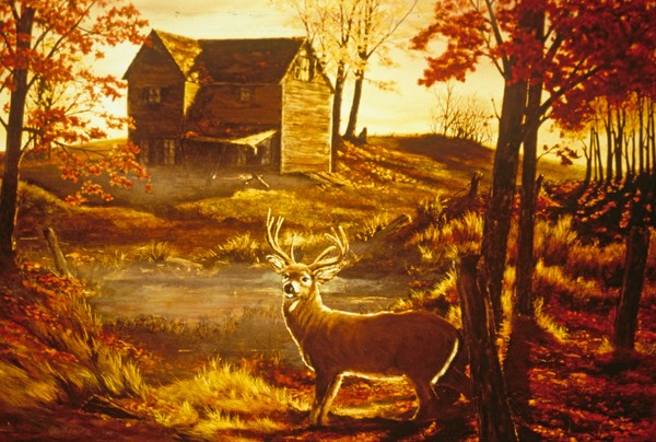 Autumn Glow