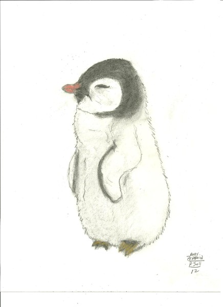 Baby Penguin