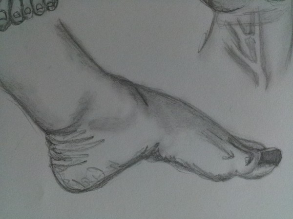 Foot