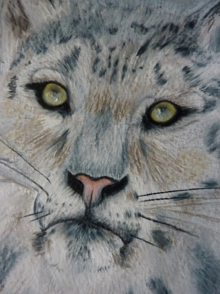 Snow Leopard