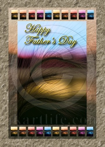 Father's Day Grass Sunset 905825